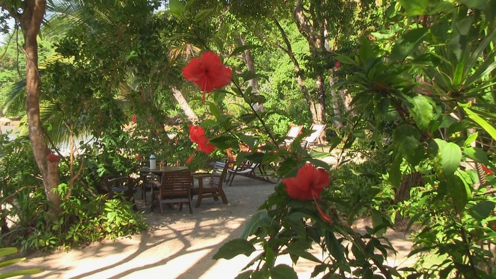 Pousada Tassimirim Velha Boipeba Buitenkant foto