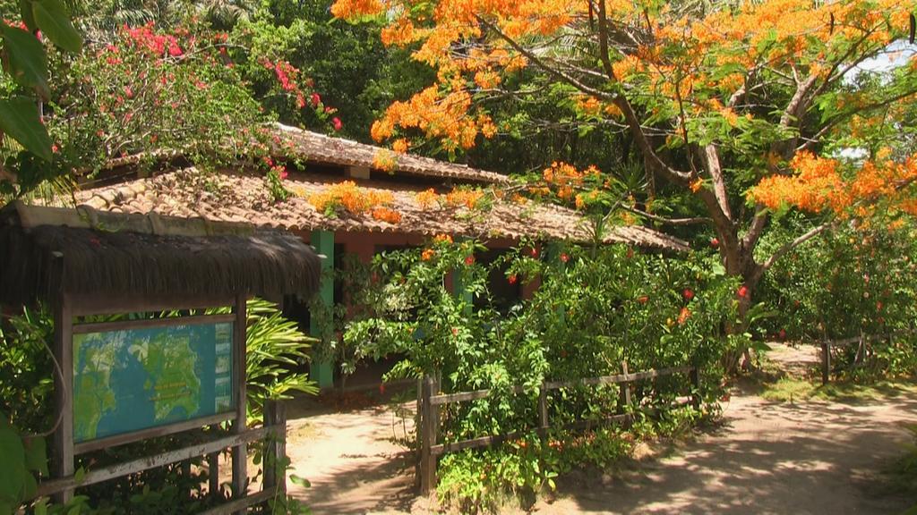 Pousada Tassimirim Velha Boipeba Buitenkant foto