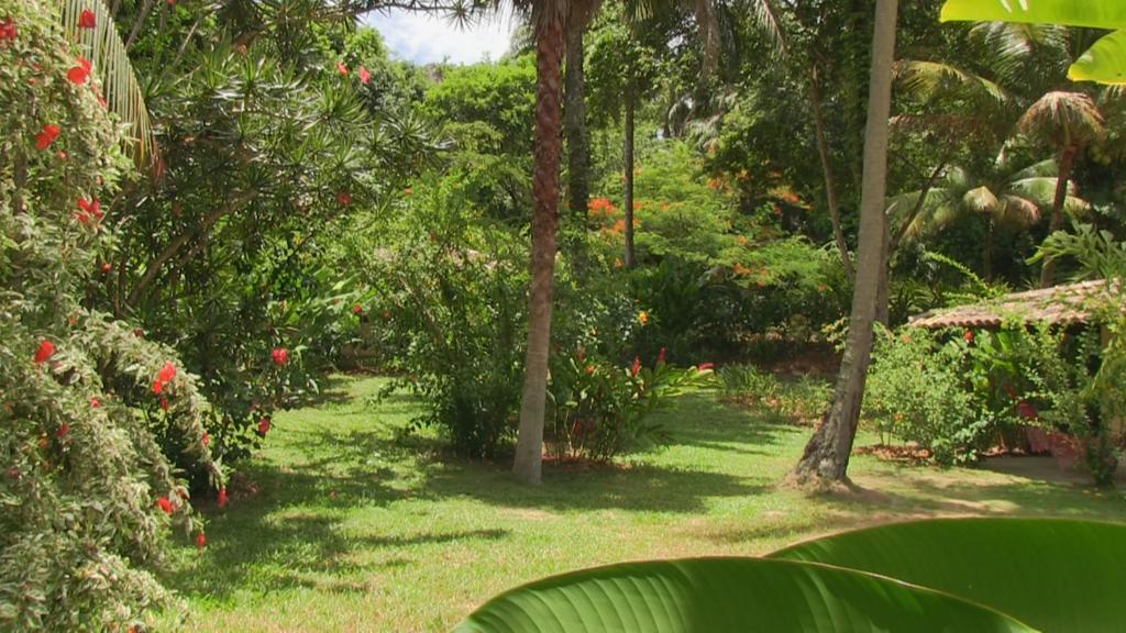Pousada Tassimirim Velha Boipeba Buitenkant foto