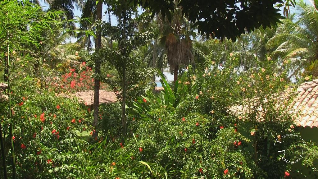 Pousada Tassimirim Velha Boipeba Buitenkant foto